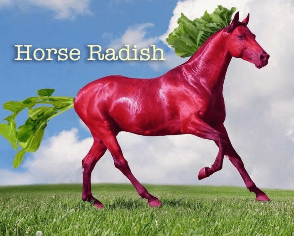 horse radish