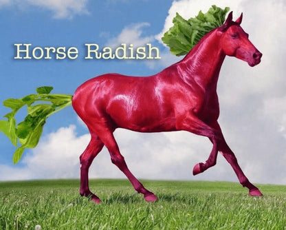 horse radish